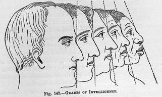 phrenology