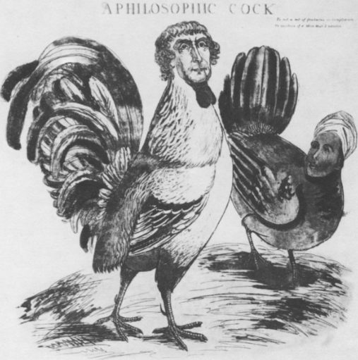 Screen Shot 2019-06-02 at 12.27.10 PM