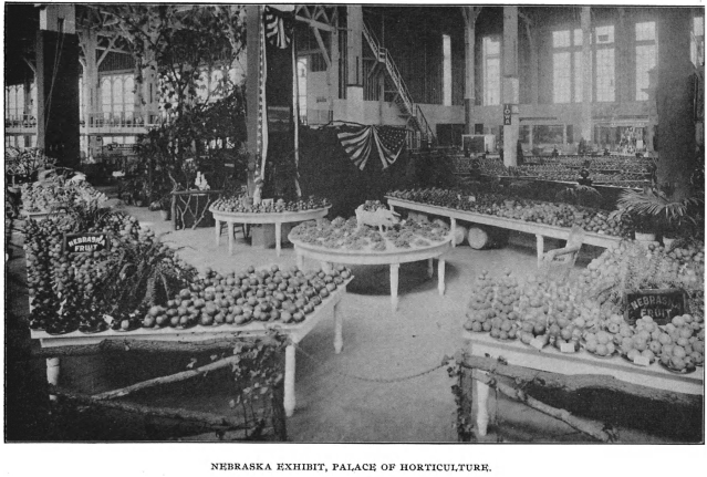 Screen Shot 2020-04-26 at 9.39.59 PM